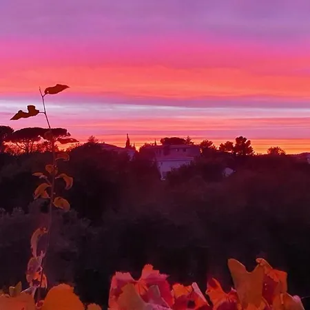 2 Pieces Calme Et Fonctionnel *