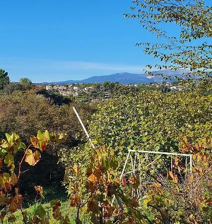 公寓 2 Pieces Calme Et Fonctionnel 滨海卡涅